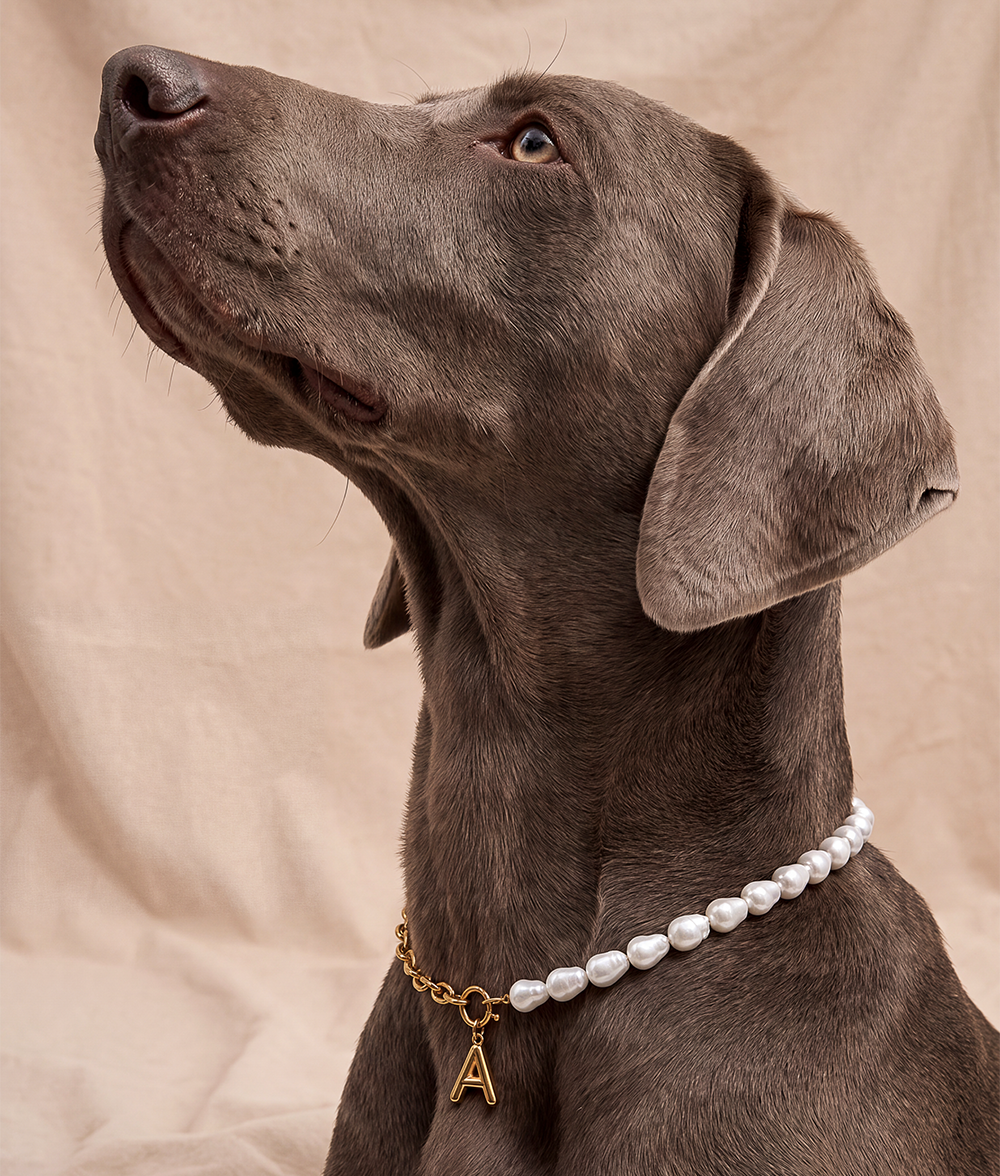 Goldenes Hundehalsband mit Perlen, Sira