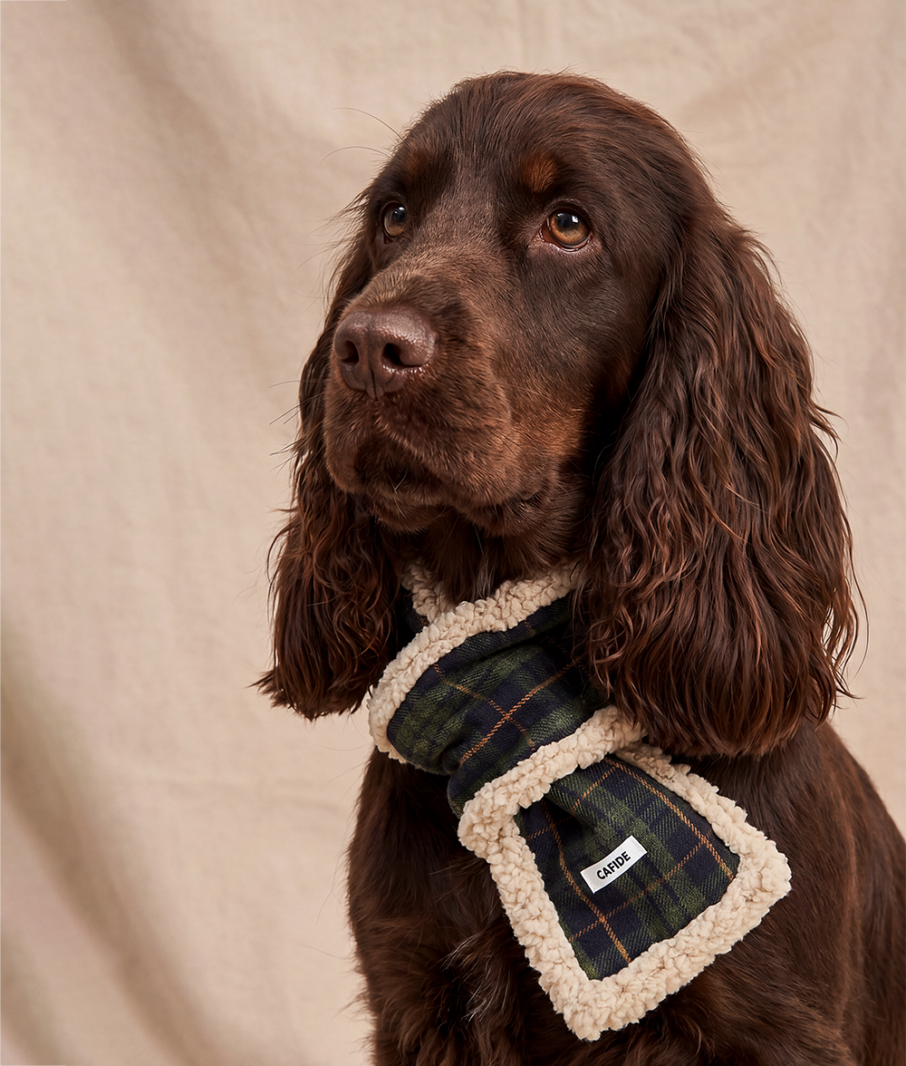 Hundeschal Tartan-Design Grün, Mica