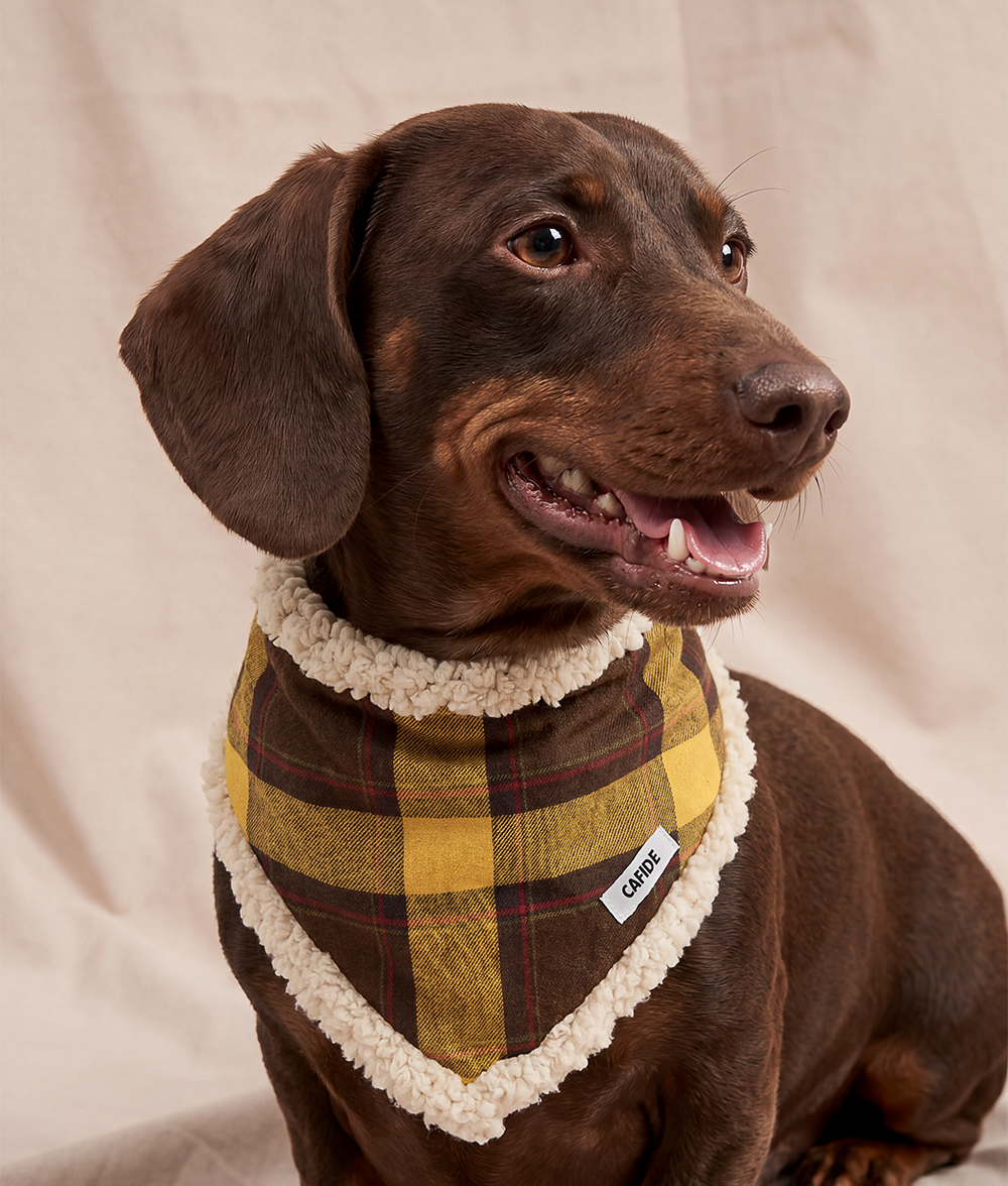 Bandana Perro Tartán Mostaza, Nata