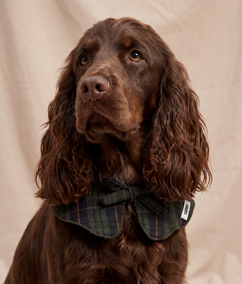 Hundebandana im Halsstil Tartan Grün, Lola