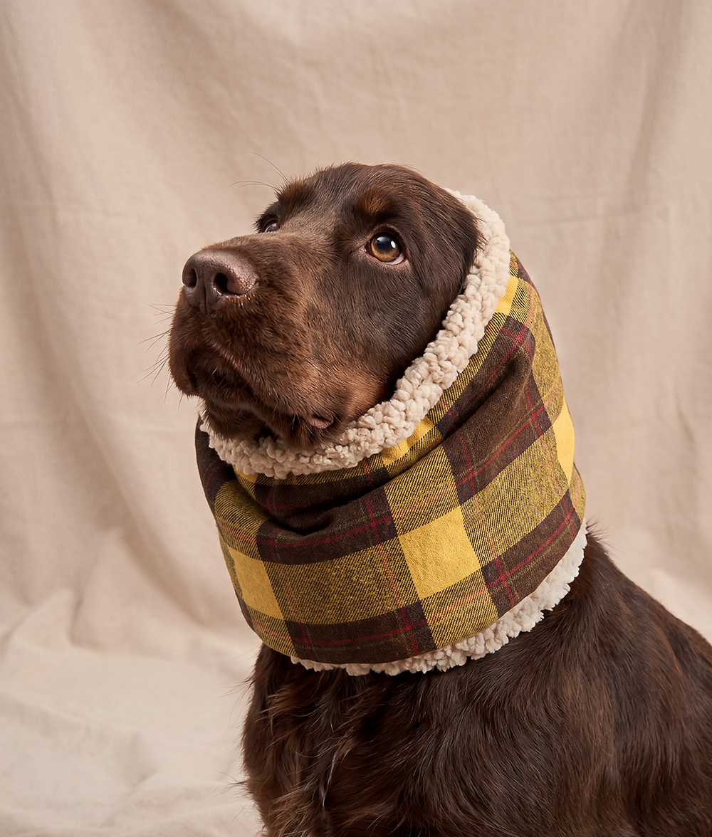 Tartan Mustard Dog Snood, Olga