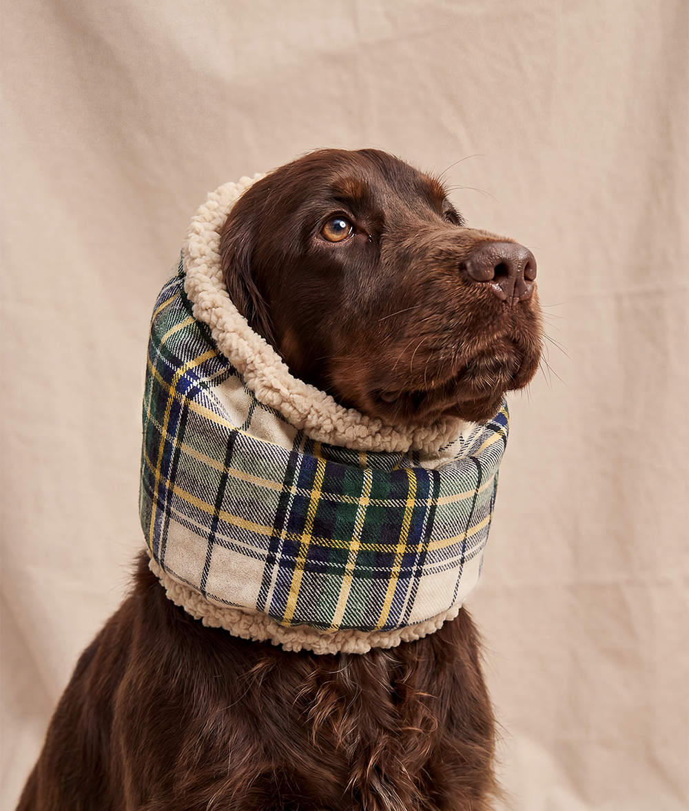Hunde-Snood Tartan-Design Beige, Olga