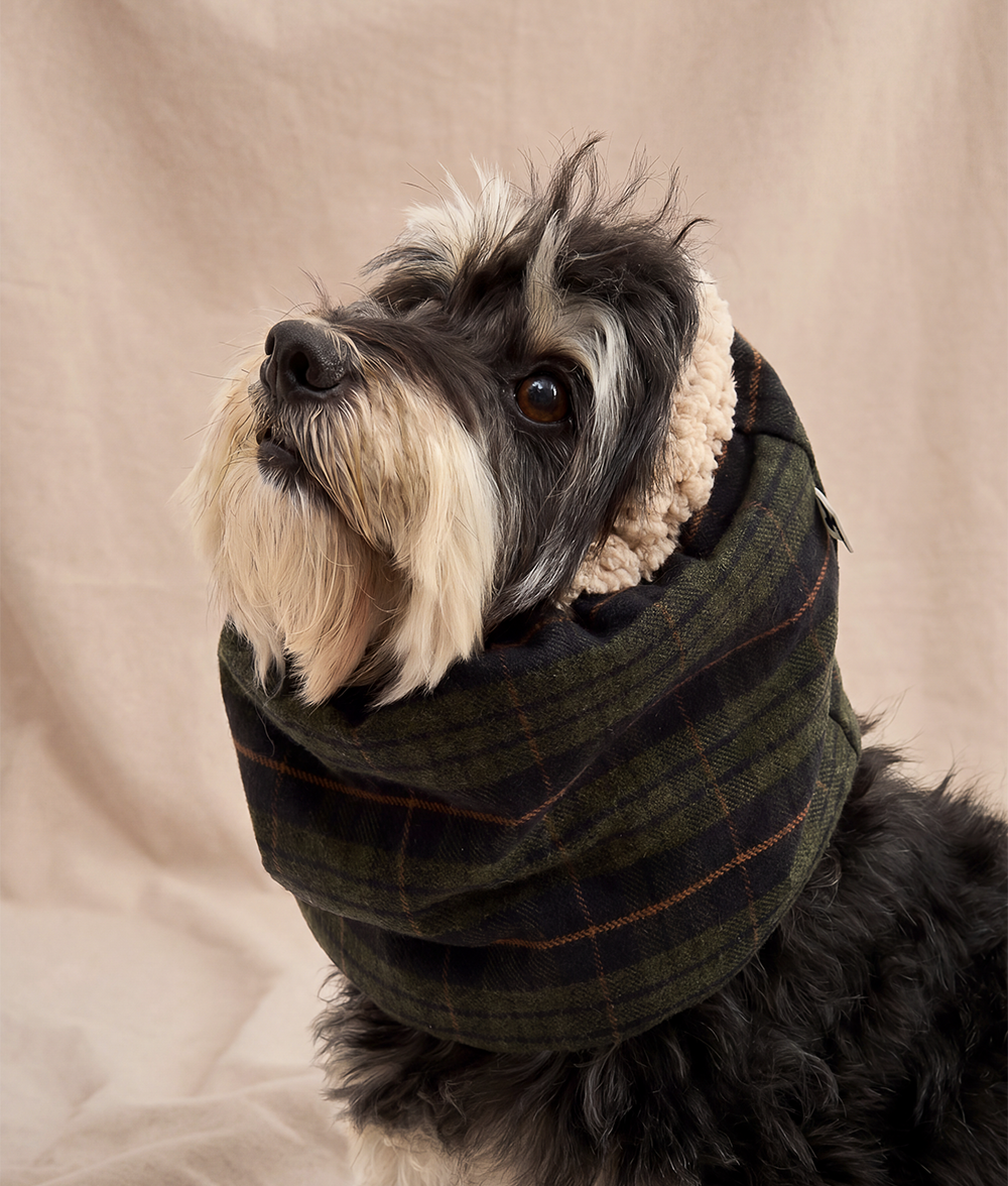Hunde-Snood Tartan-Design Grün, Olga