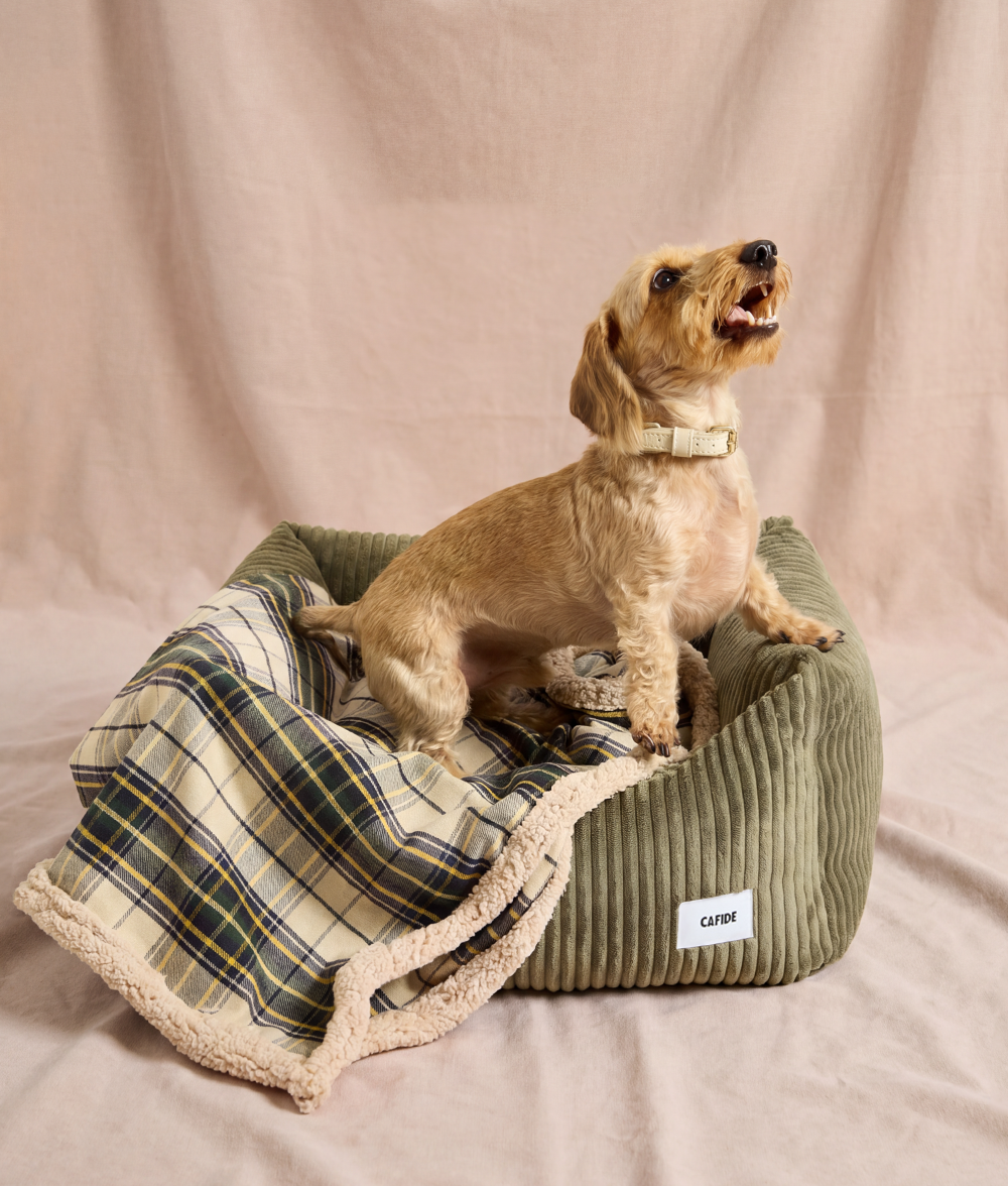 Beige karierte Hundedecke, Toia