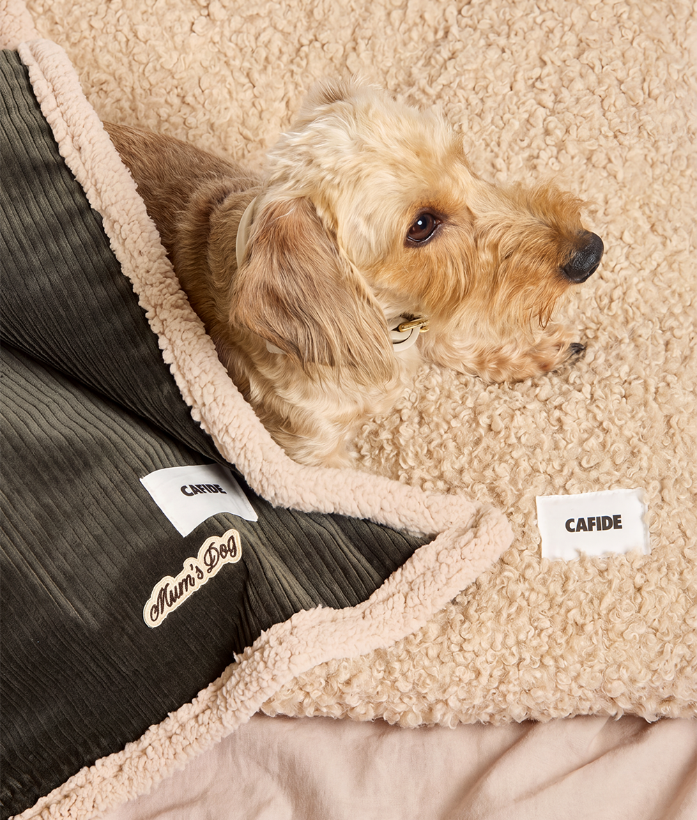 Green Corduroy Dog Blanket, Toia