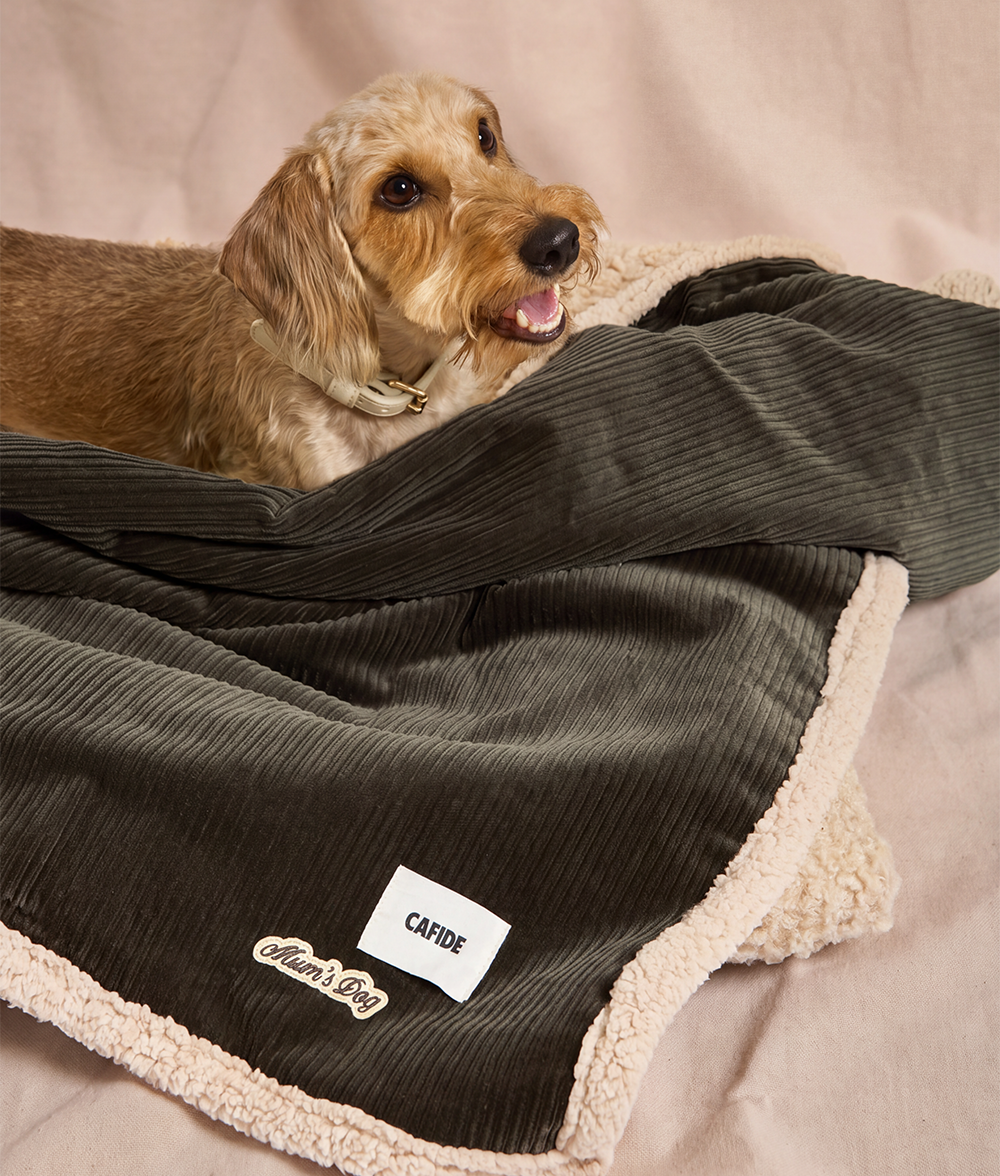 Green Corduroy Dog Blanket, Toia