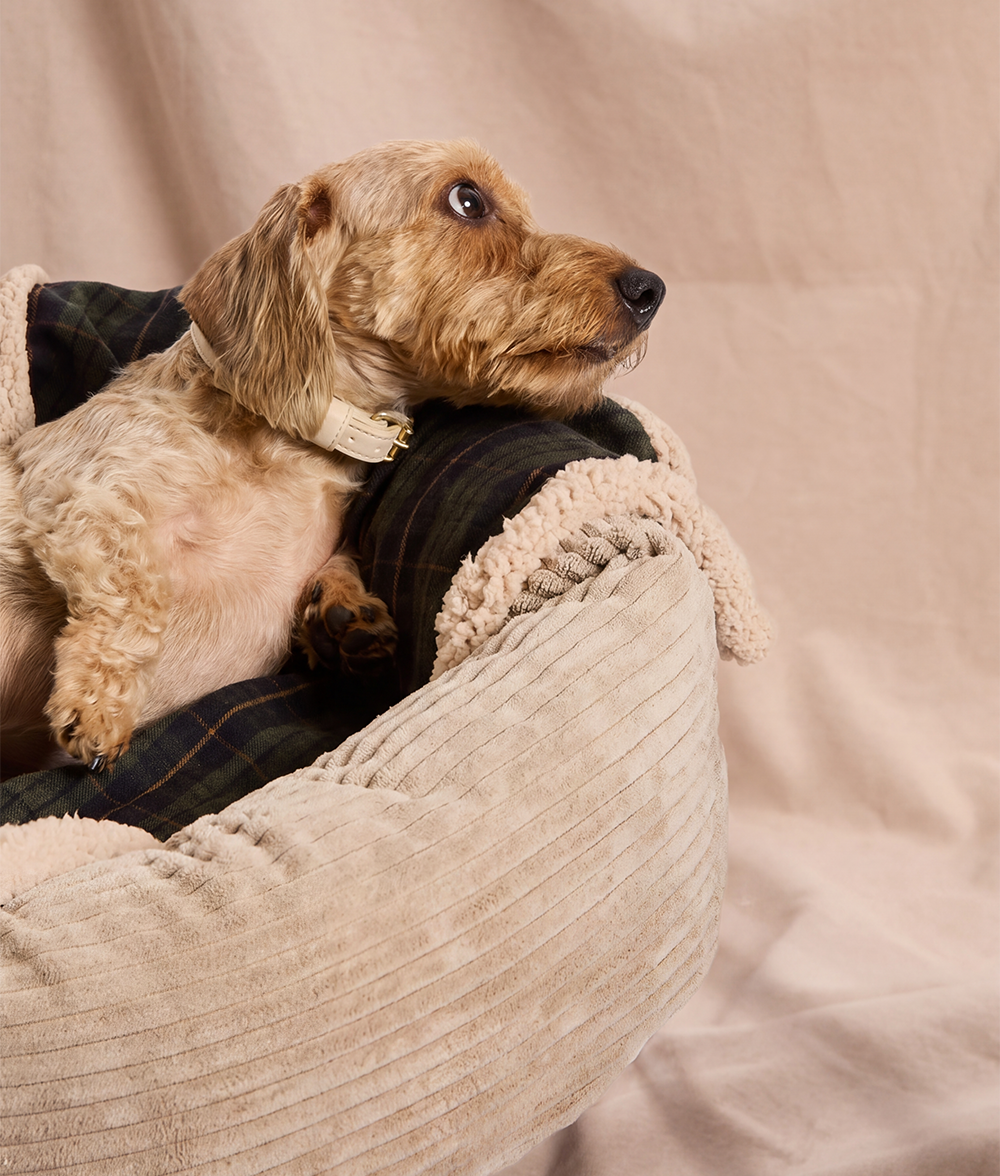 Grün karierte Hundedecke, Toia