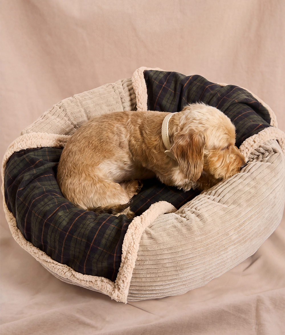 Grün karierte Hundedecke, Toia