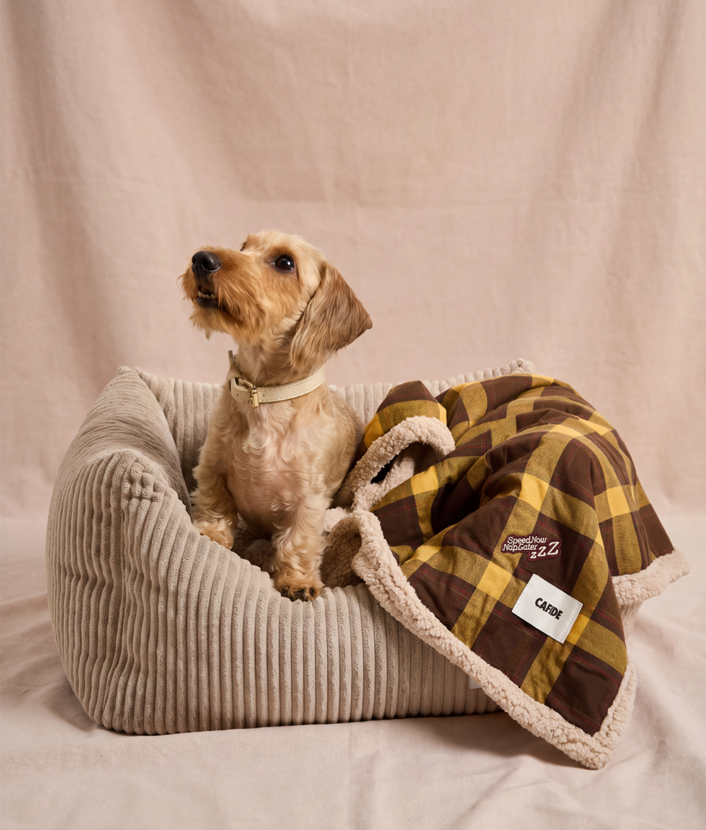 Rote Royal Steward Hundedecke, Toia