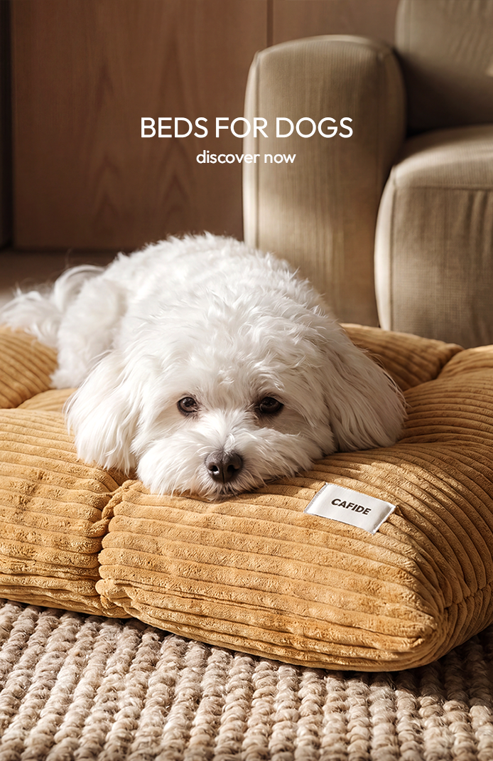 beds-desktop-v-1
