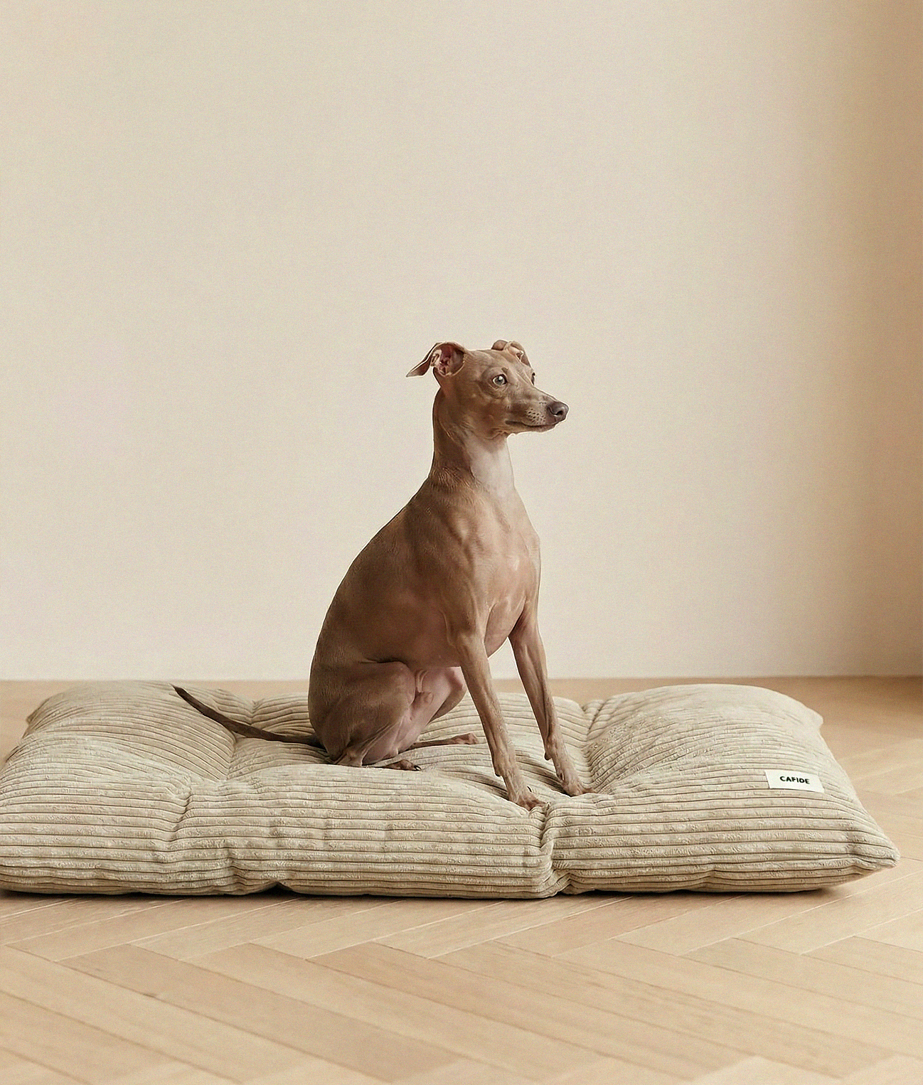 Corduroy Dog Bed Cushion Beige, Bela