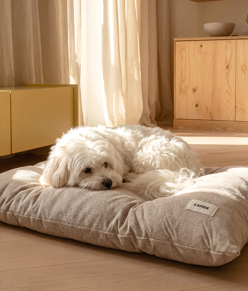 Beige Dog Cushion Bed, Bela