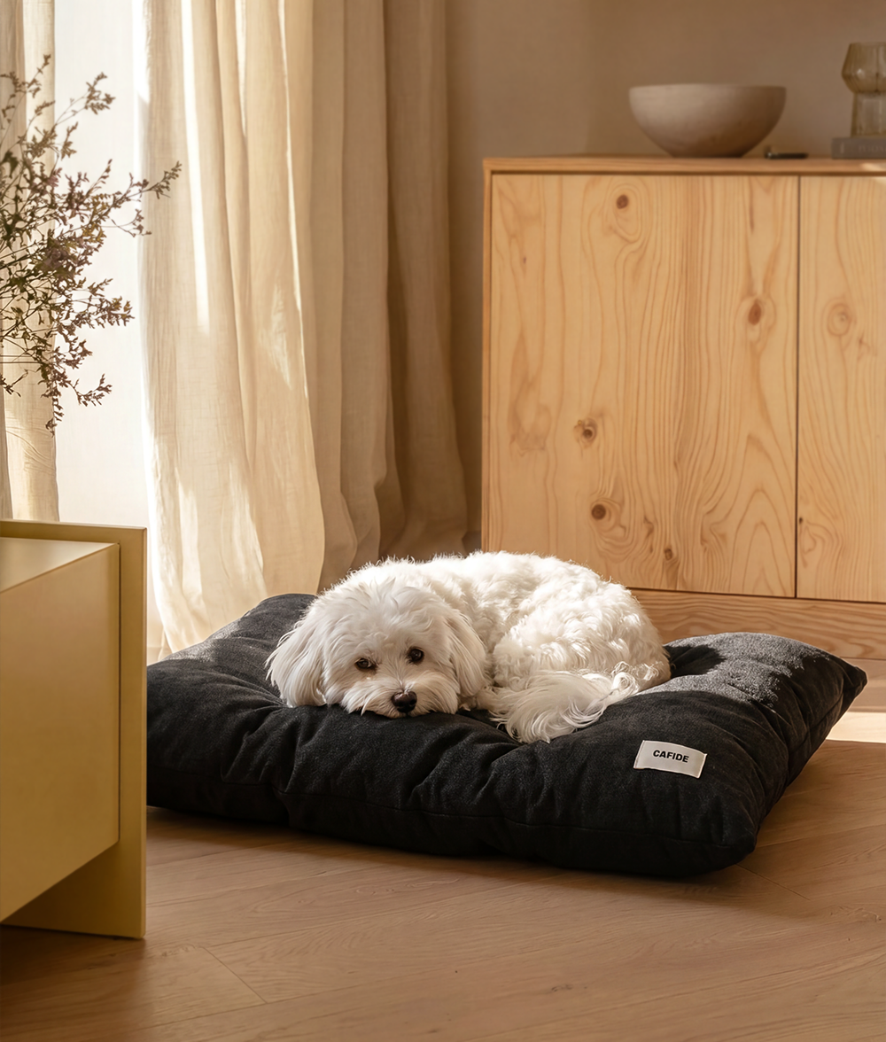 Anthracite Black Dog Cushion Bed, Bela