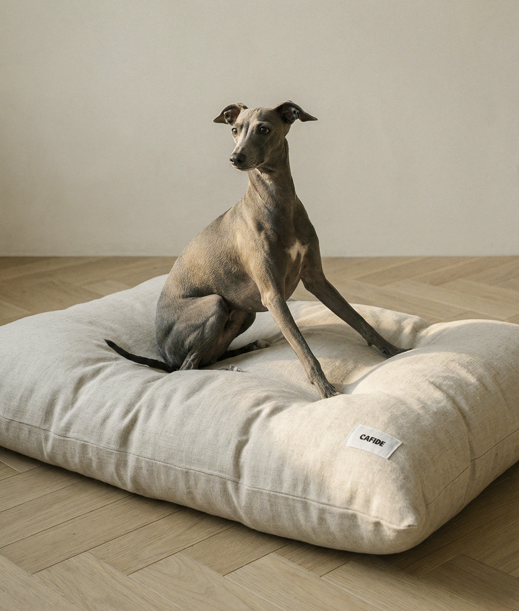 Linen Dog Bed Cushion, Bela