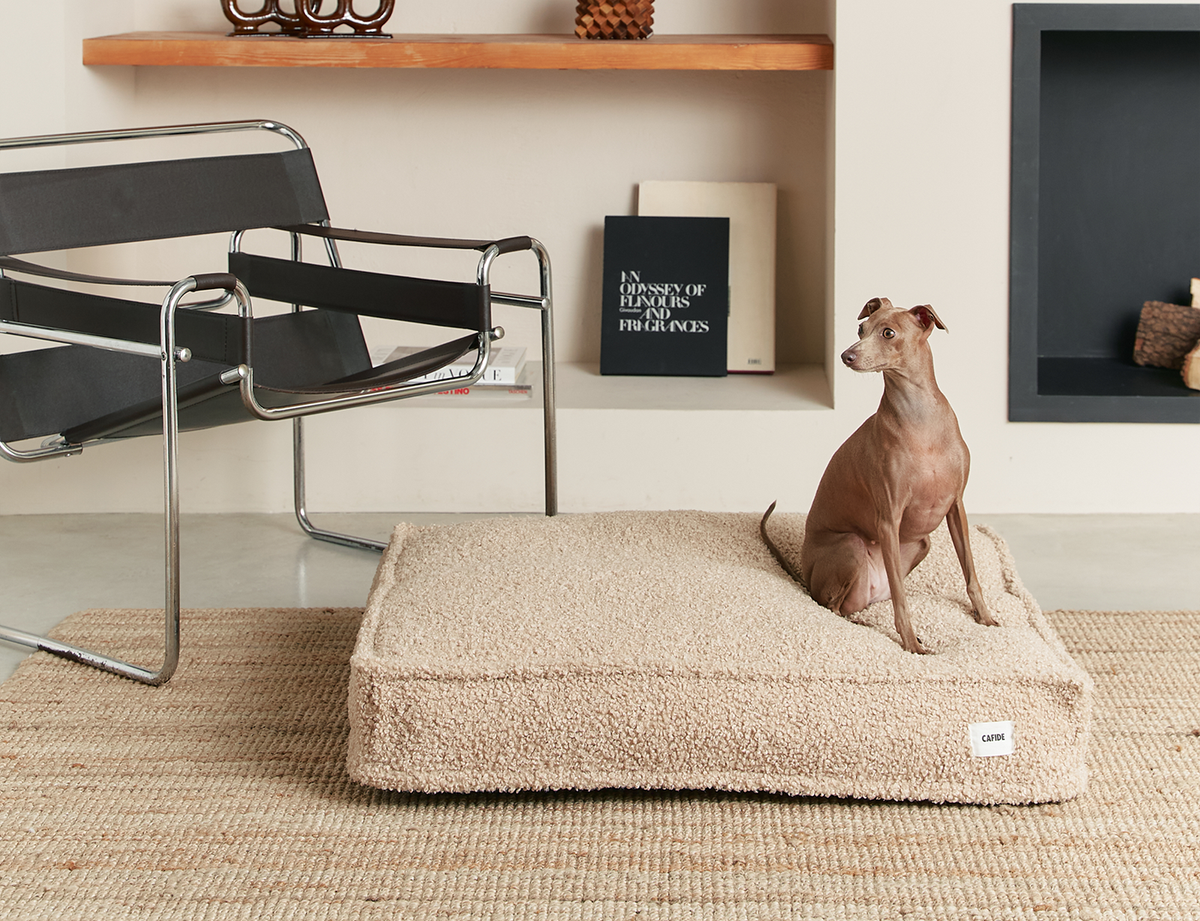 beds-big-1