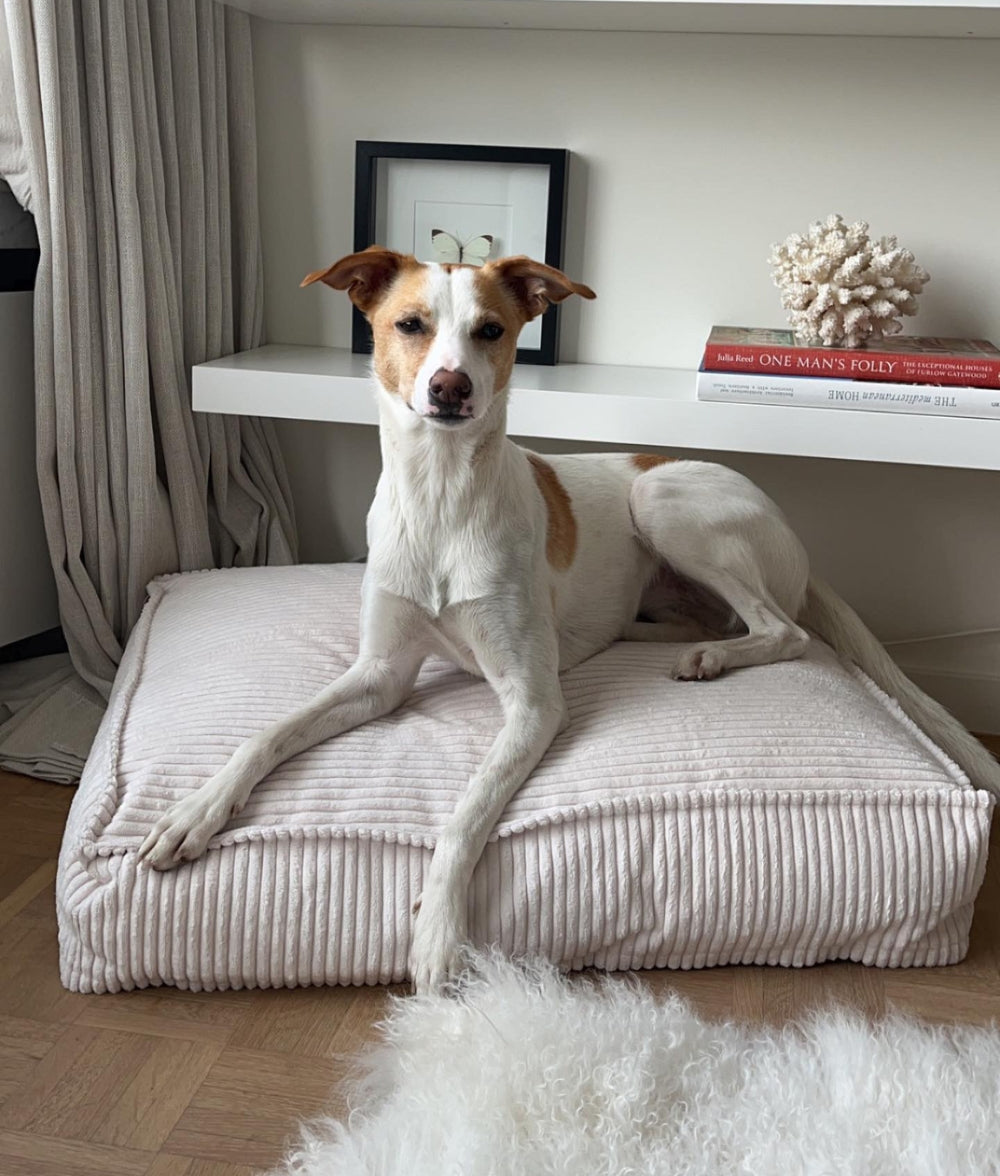Hundebett aus weißem Cord, Cuadra