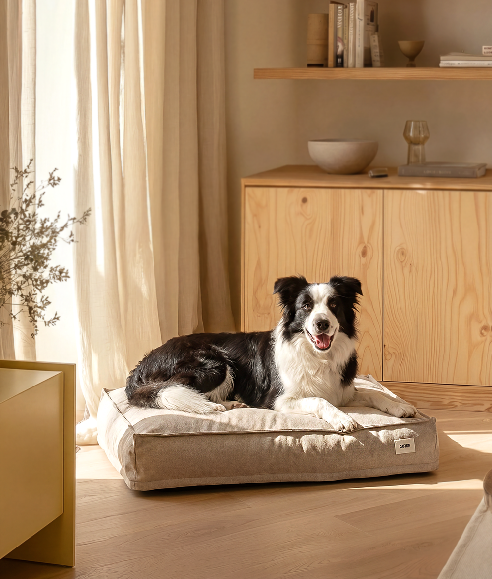 Beiges Hundebett, Cuadra