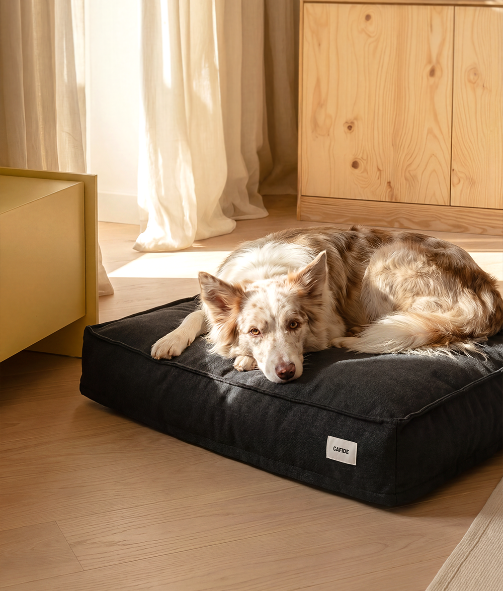 Cama Perro Negro Antracita, Cuadra