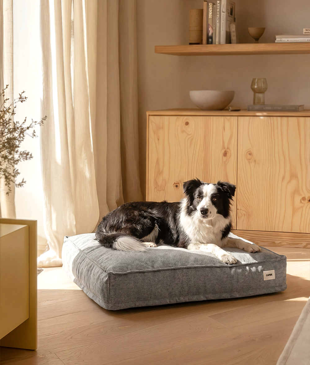 Cama Perro Gris, Cuadra
