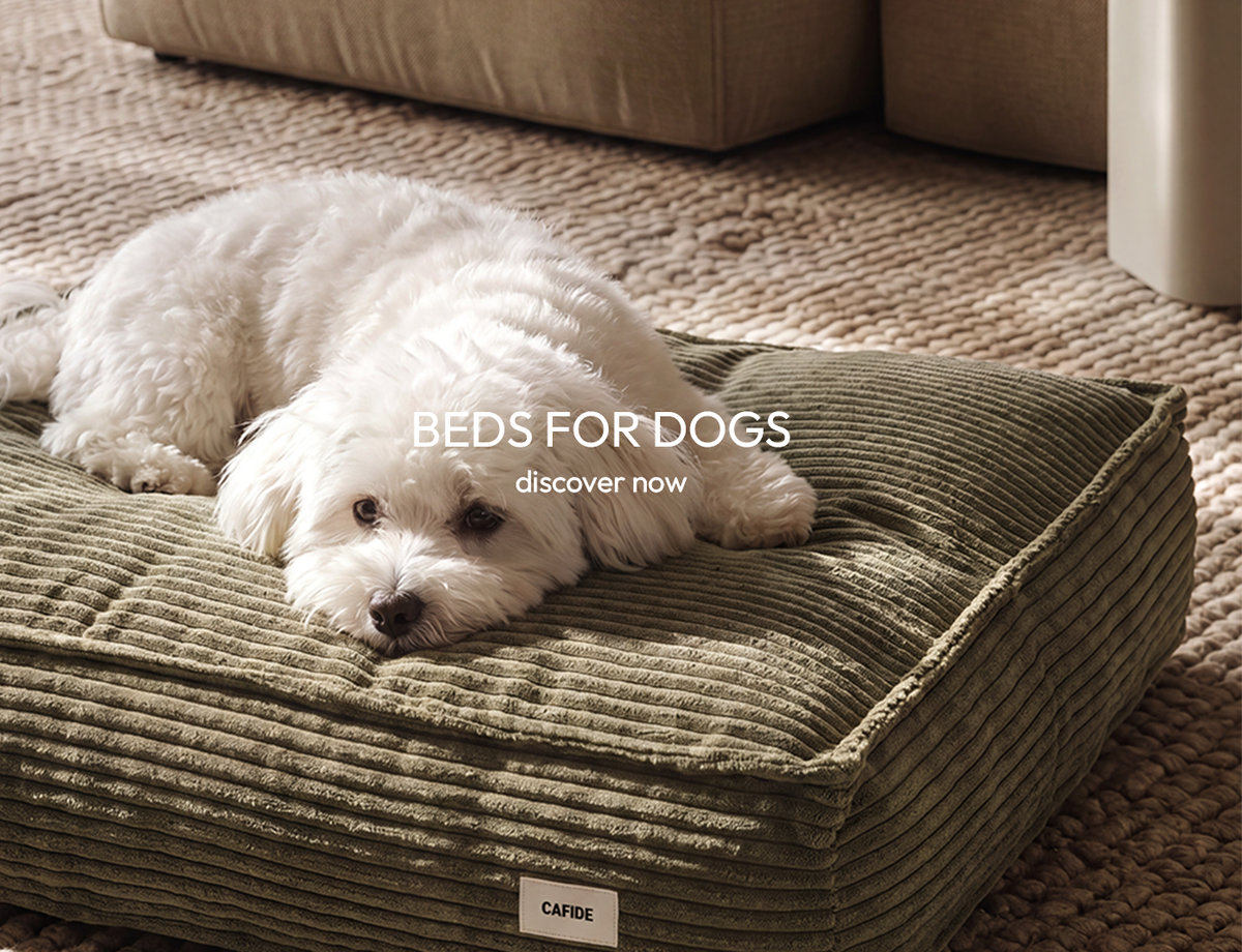 beds-desktop-h-1