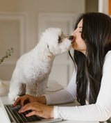 Lit pour chien en velours côtelé avec capuche orange, Maso