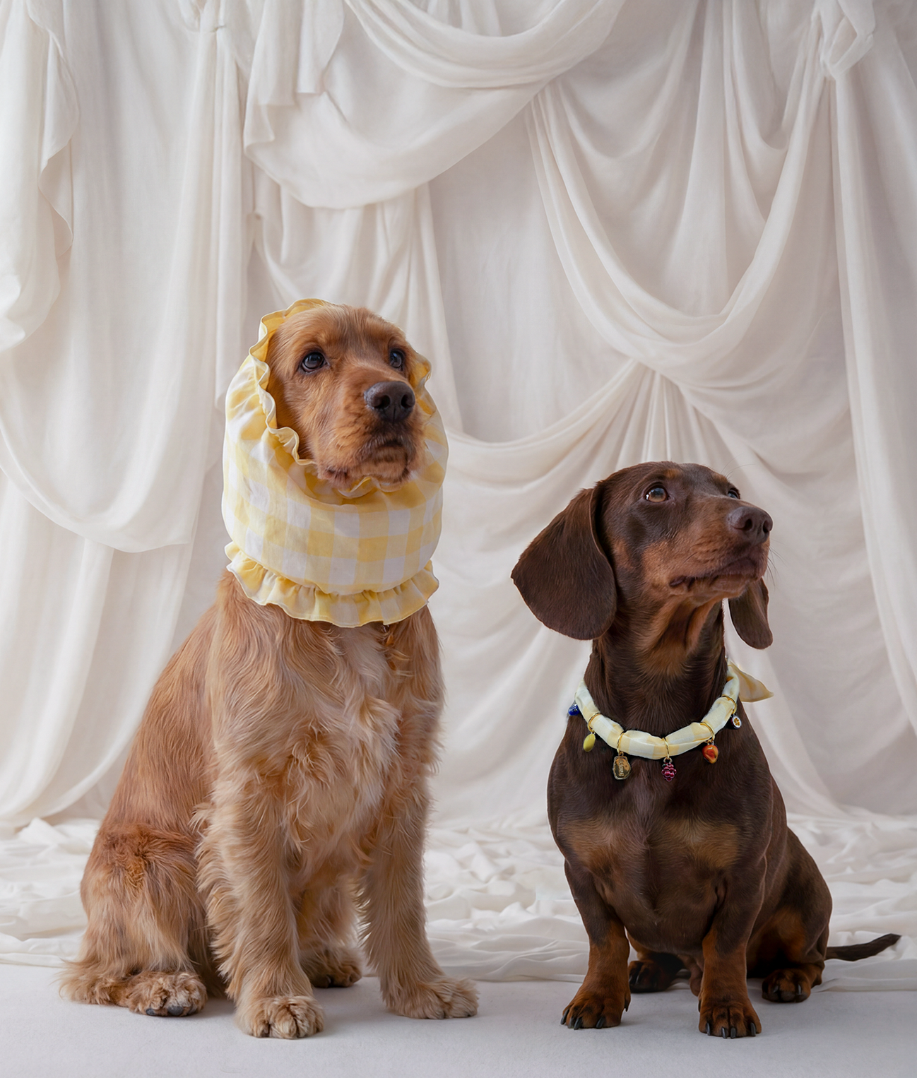 Dog Snood Yellow Vichy Design, Olga