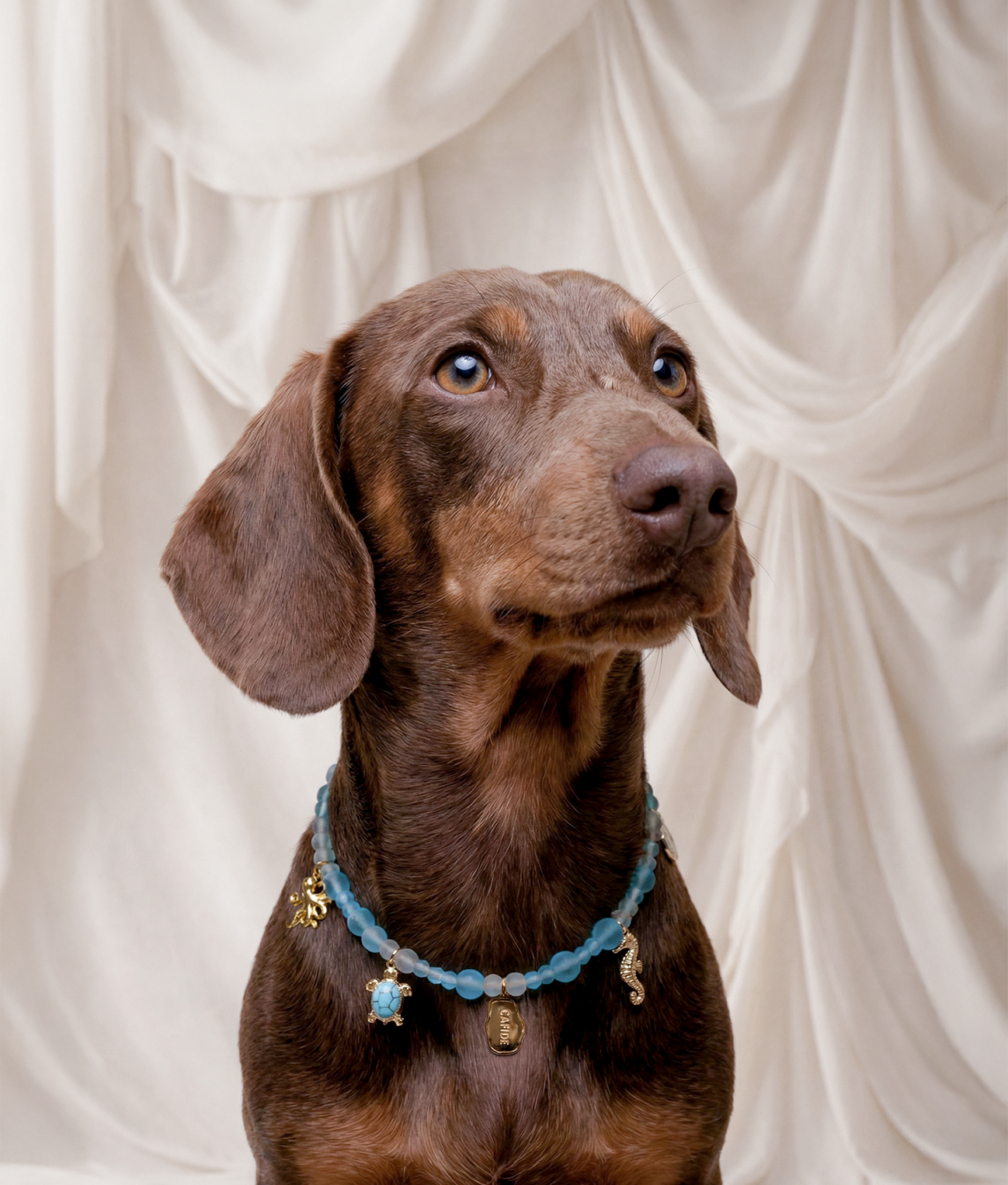 Sea Dog Charm Necklace, Sira