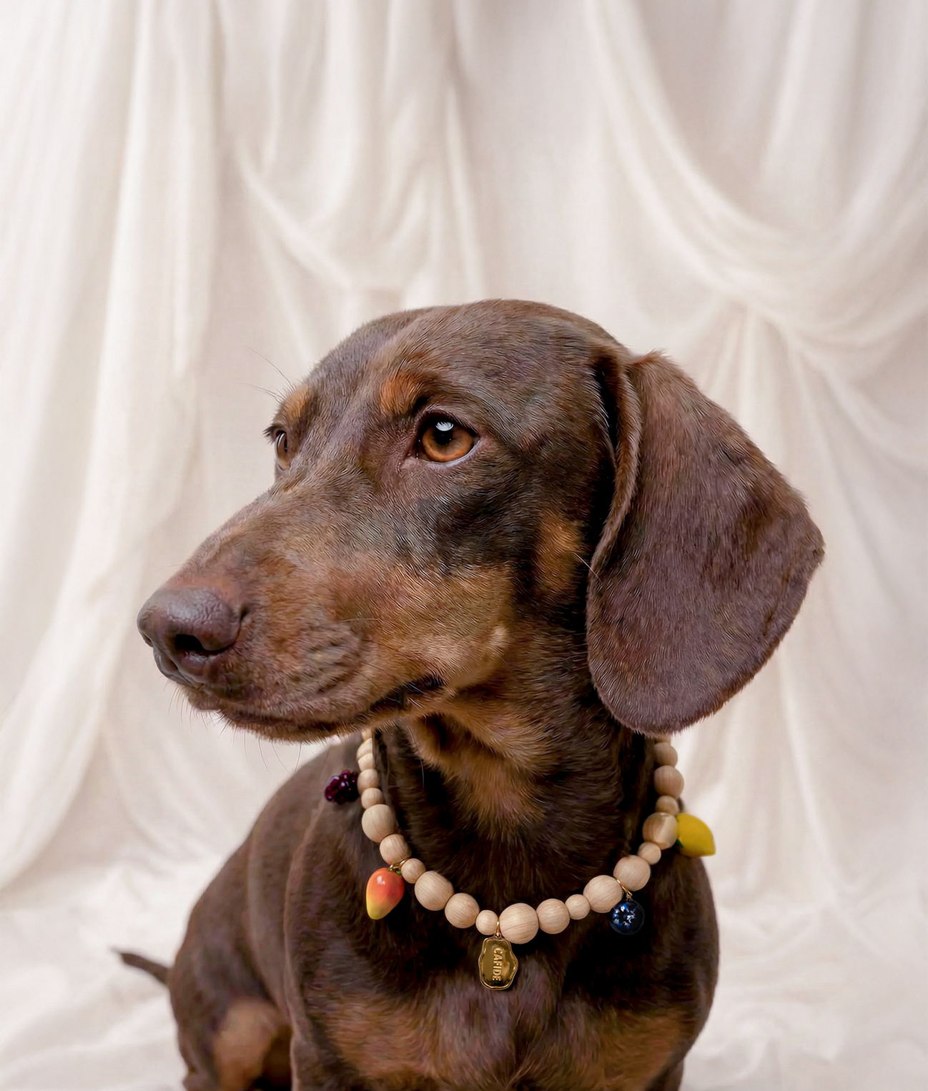 Fruit Dog Charm Necklace, Sira