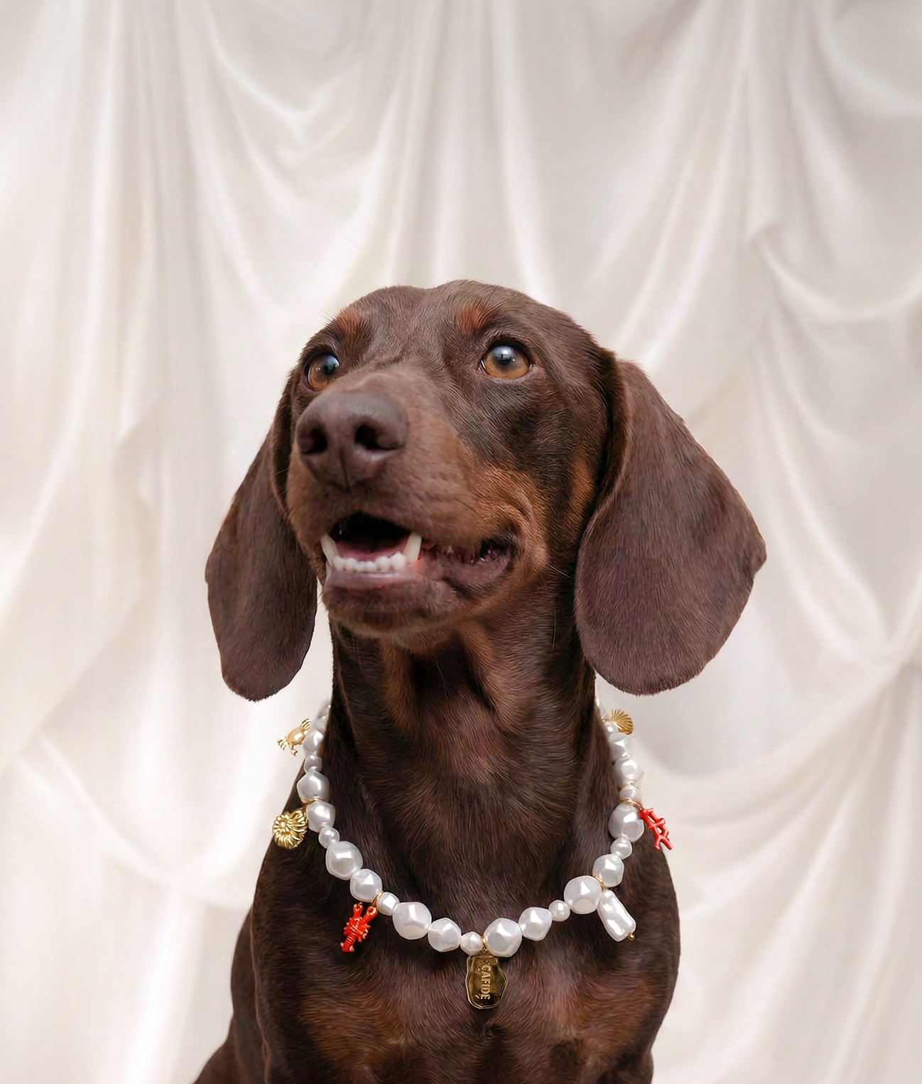 Coral Dog Charm Necklace, Sira