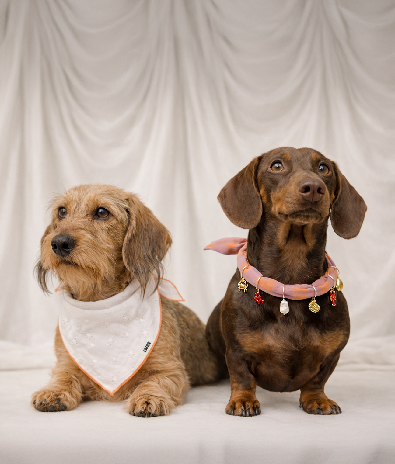 Dog Bandana English Coral embroidered design, Nata