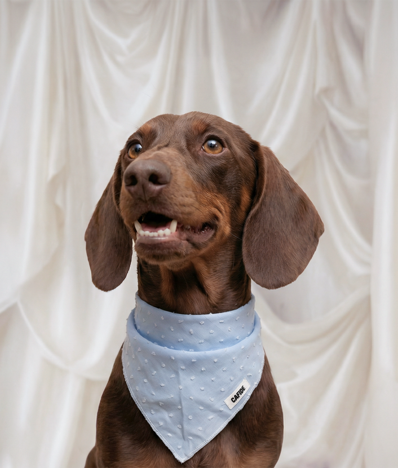 Dog Bandana Blue Plumeti Design, Nata