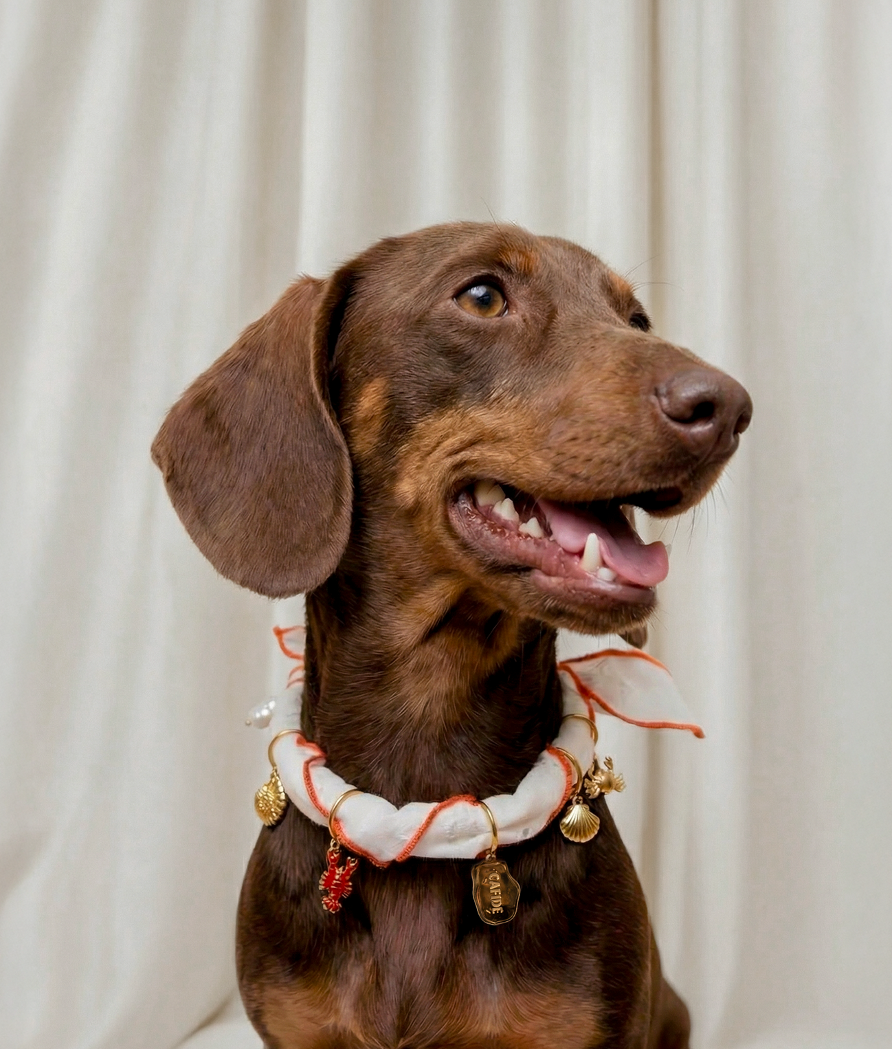 Dog Charms Bandana Coral Broderie Anglaise, Sira