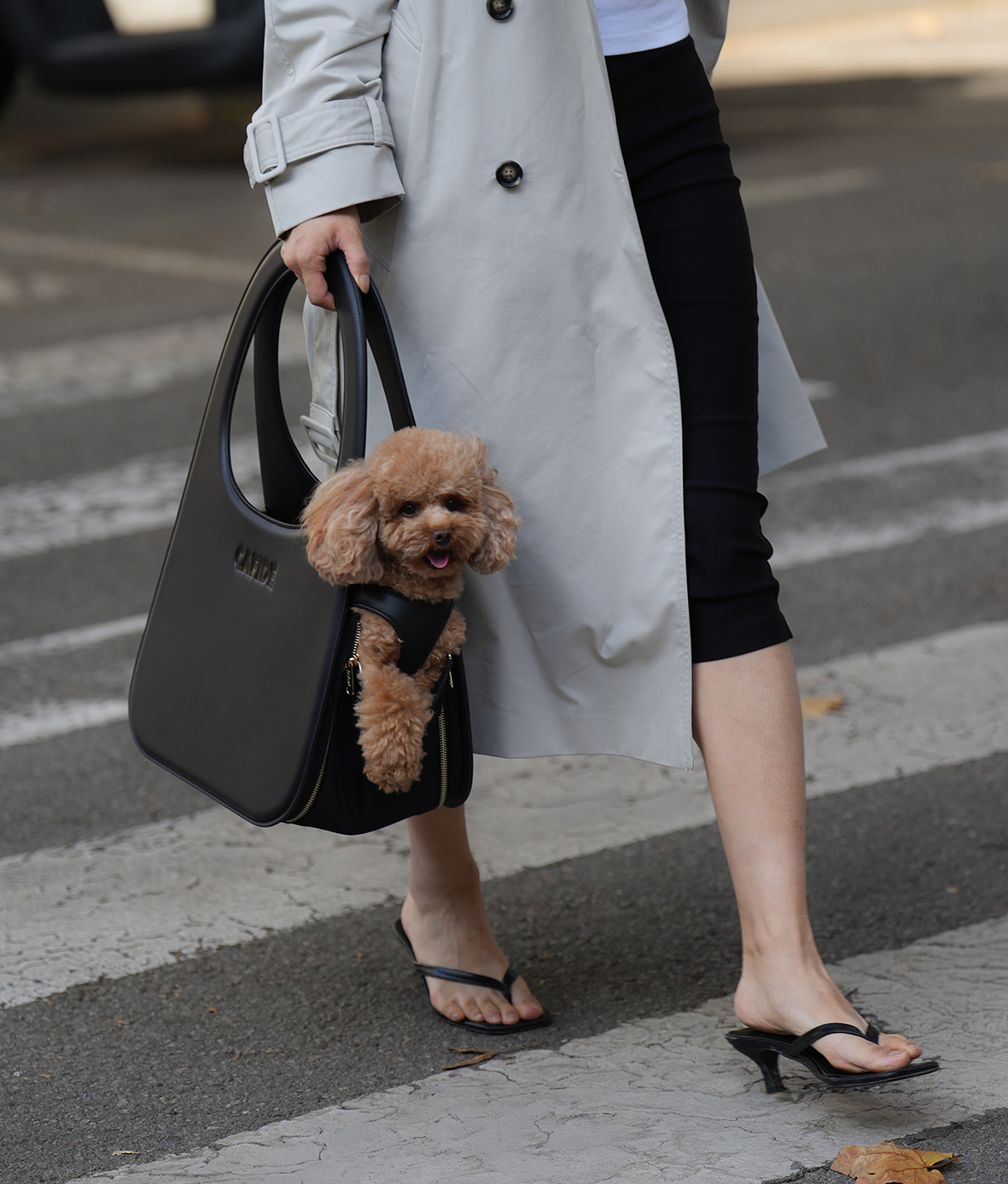 Black Travel Dog Bag, Jala