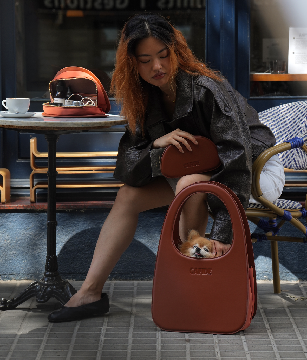 Brown Travel Dog Bag, Jala