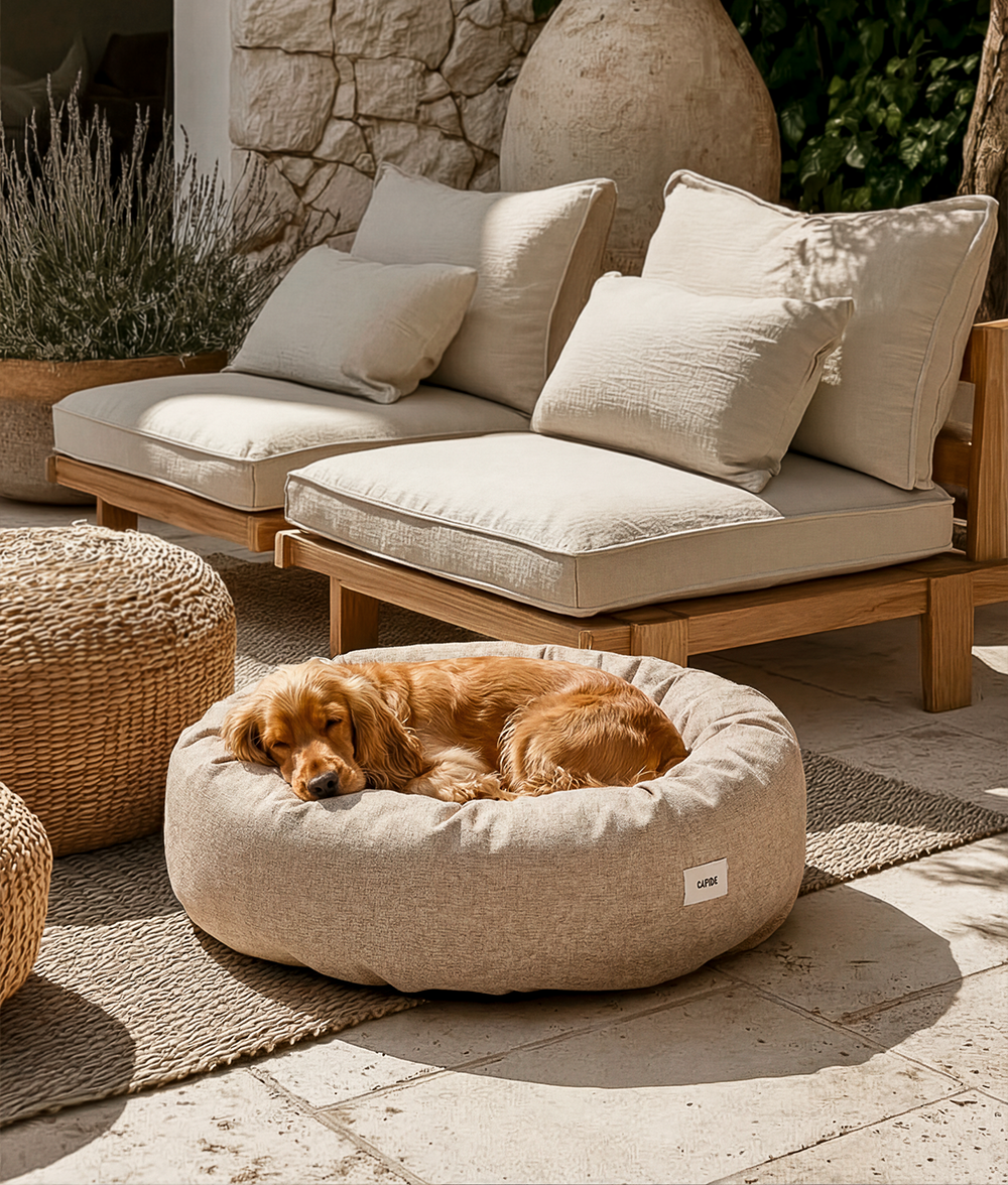 Cama Perro Chenilla Beige, Nuba