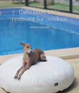 Terracotta Dog Bed for Indoor and Outdoor, Calos 