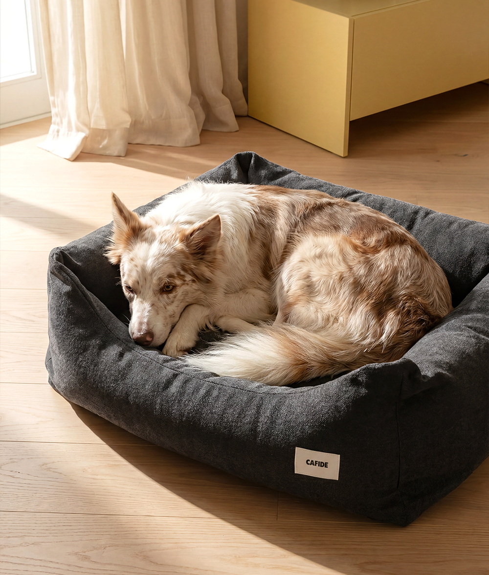 Anthracite Black Dog Bed, Snozy 