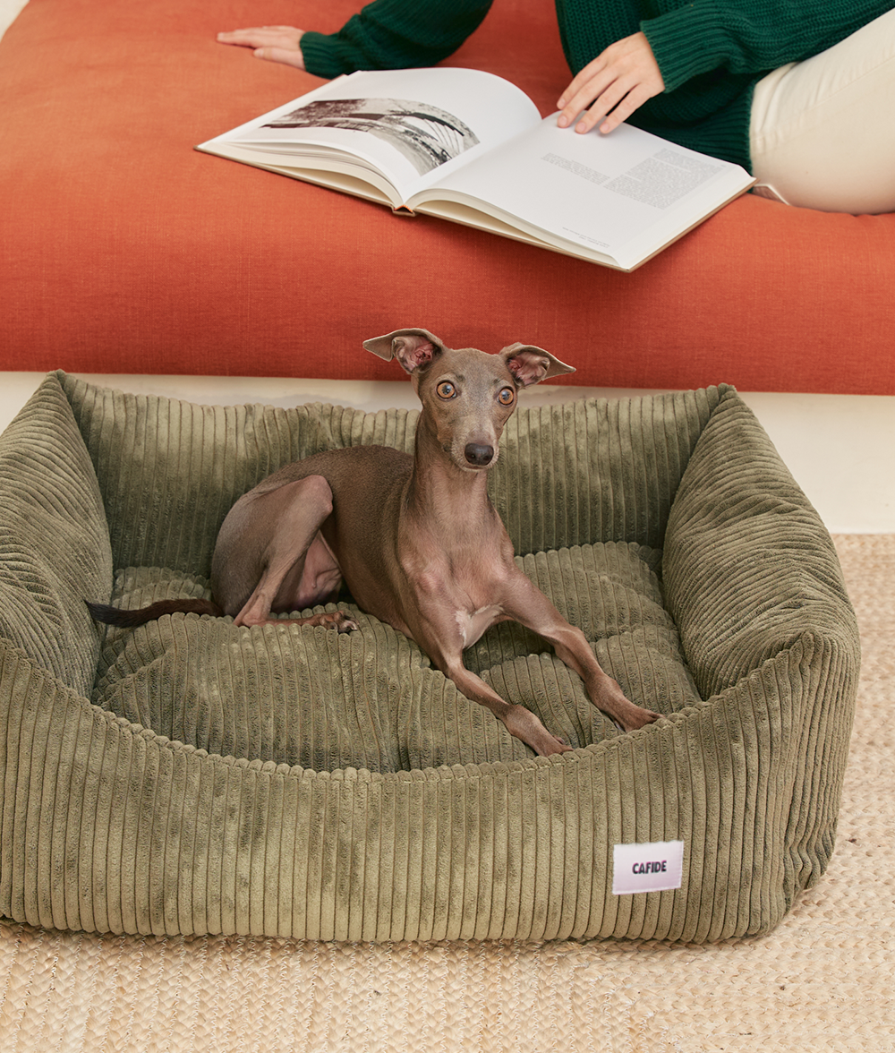 Green Corduroy Dog Bed, Snozy 