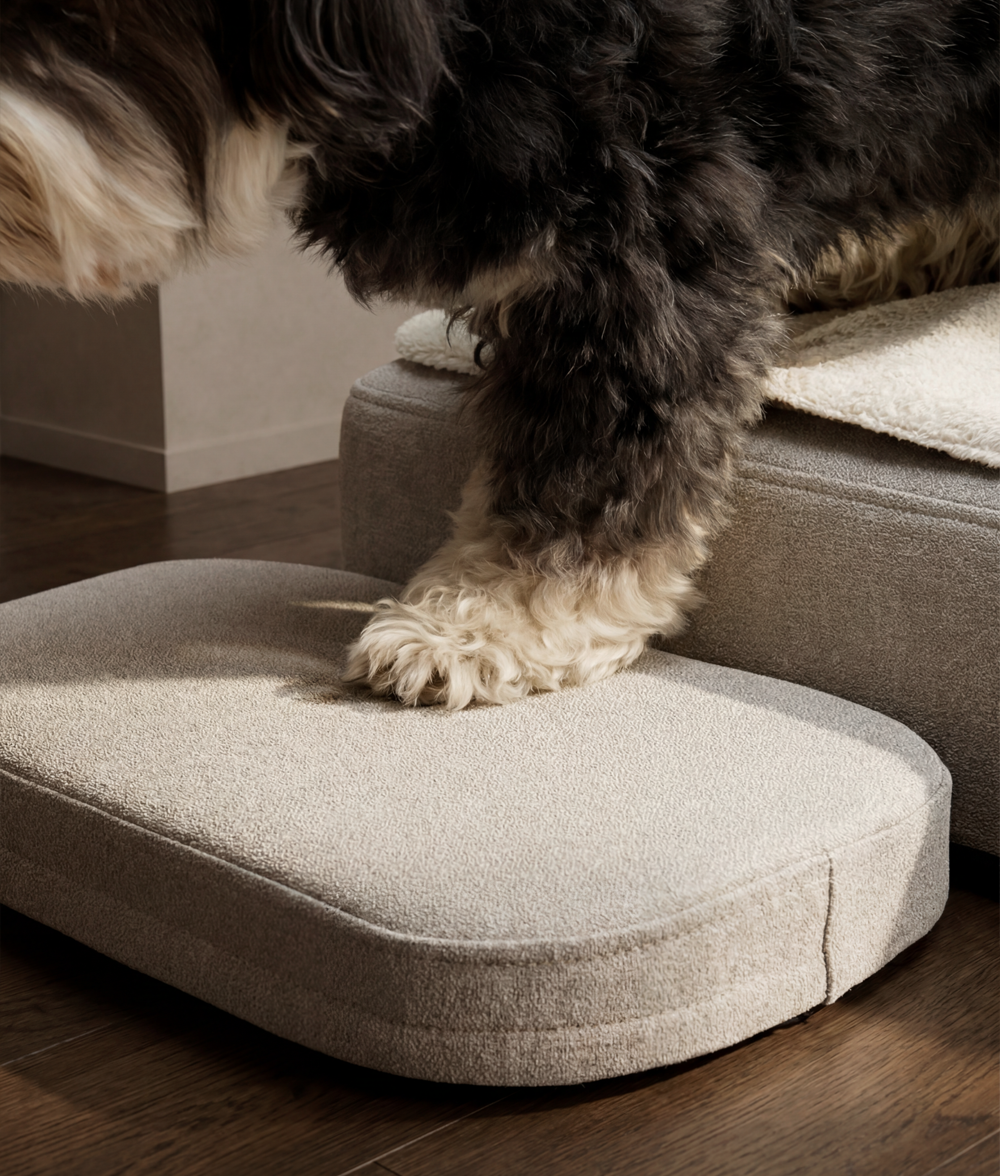 Stufenleiter für orthopädisches Hundebett, Soma