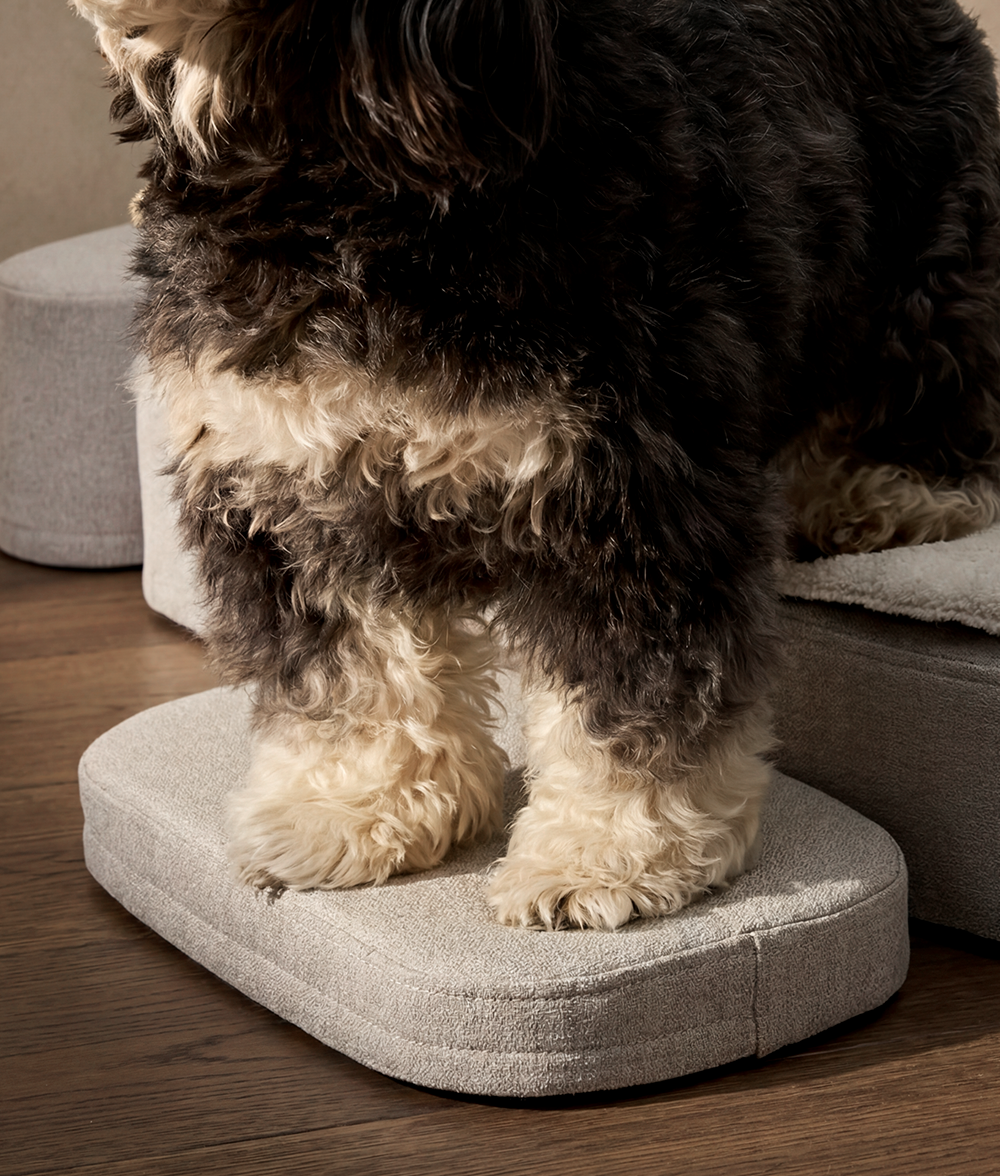 Orthopädisches Hundebett, Soma