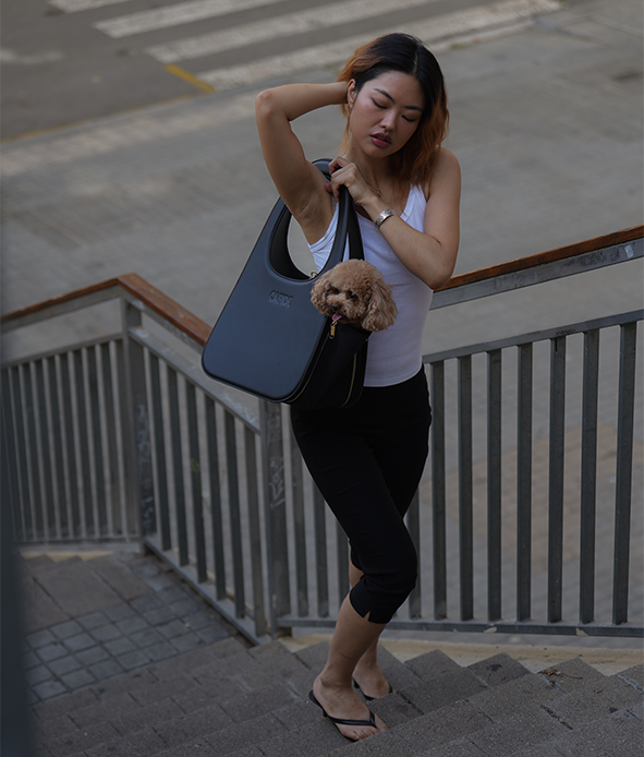 Brown Travel Dog Bag, Jala