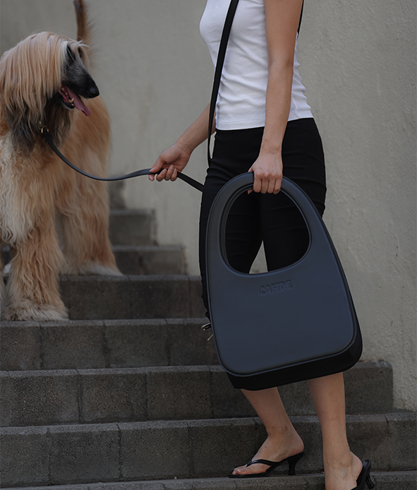 Brown Travel Dog Bag, Jala