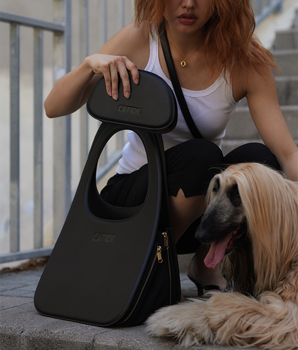 Travel Document Holder for Dogs Black, Jala