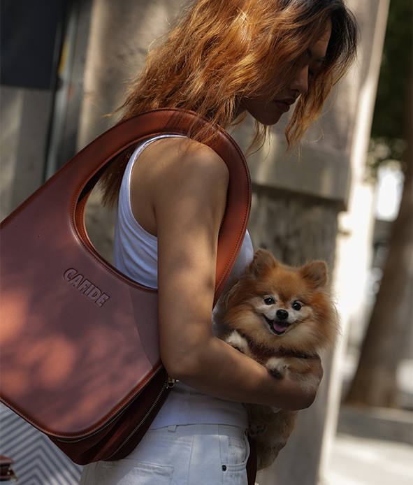 Brown Travel Dog Bag, Jala