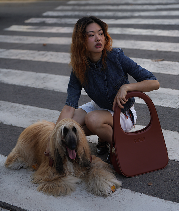 Brown Travel Dog Bag, Jala