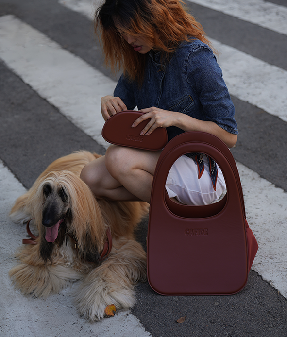 Travel Document Holder for Dogs Brown, Jala