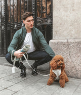 Laisse pour chien beige, Gala