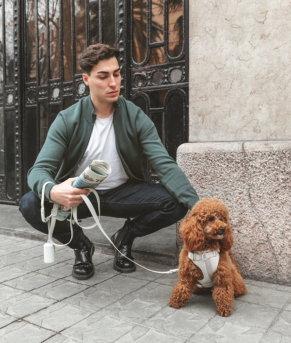 Laisse pour chien beige, Gala