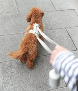 Laisse pour chien beige, Gala