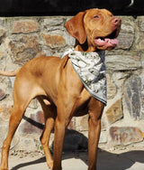 Bandana pour chien solidaire, lévrier